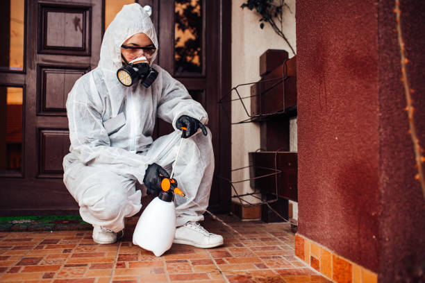 Reliable Bed Bug Control contractor in Sarasota, FL by Nex Pest Control