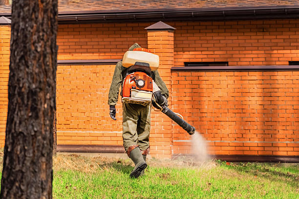 Trusted Cockroach Control service in Sarasota, FL - Nex Pest Control
